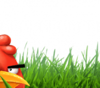 angry-birds