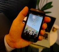 _SAM5949 _SAM5949