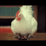 Deux nouvelles publicités pour le Samsung Galaxy S II : sur l&rsquo;écran et la fonction de zoom/dézoom