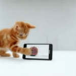 Deux nouvelles publicités pour le Samsung Galaxy S II avec un chat et homme habile avec ses doigts Deux nouvelles publicités pour le Samsung Galaxy S II avec un chat et homme habile avec ses doigts