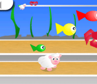 funnyrace