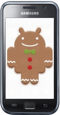 galaxy-s-gingerbread1