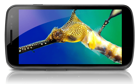 android-samsung-google-galaxy-nexus-virgin-mobile-ca-bell-mobility-ca-decembre-december-2011
