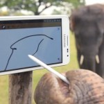 Des éléphants qui adorent le Samsung Galaxy Note Des éléphants qui adorent le Samsung Galaxy Note