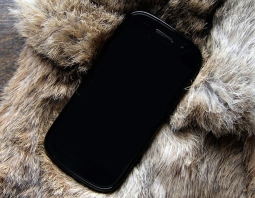 google-nexus