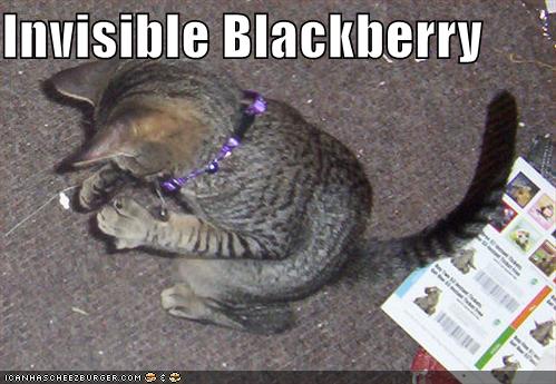 invisibleblackb128577490643915611