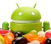 jellybean