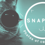 Snapcat : des photos de chats par des chats ! Snapcat : des photos de chats par des chats !
