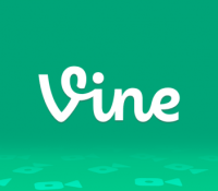 Vine