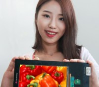 LGD QHD Panel