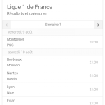 La Ligue 1 disponible sur Google Now La Ligue 1 disponible sur Google Now