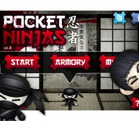 pocketninja