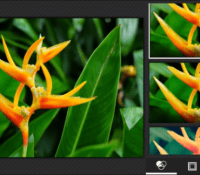 Application photo 4.4