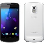 Google confirme : le Galaxy Nexus ne goûtera pas à Android 4.4 KitKat