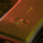 Le premier incident avec un téléphone Android ?