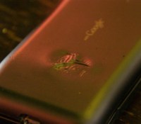 Le premier incident avec un téléphone Android ?