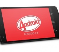 android 4.4.3 kitkat nexus 4 nexus 5 nexus 7 nexus 10 icon logo image 00