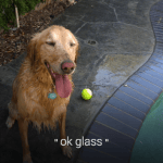 Les Google Glass passent à 2 Go de RAM : seront-elles les stars de la Google I/O ? Les Google Glass passent à 2 Go de RAM : seront-elles les stars de la Google I/O ?
