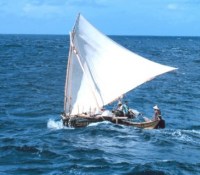 Proa1