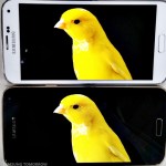 Plus de détails sur l’écran QHD AMOLED du Samsung Galaxy S5 LTE-A Plus de détails sur l’écran QHD AMOLED du Samsung Galaxy S5 LTE-A