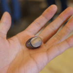 Moto Hint : une oreillette Bluetooth quasi-invisible