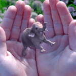 Google et Qualcomm investissent 542 millions de dollars dans Magic Leap Google et Qualcomm investissent 542 millions de dollars dans Magic Leap