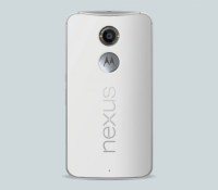 NExus X