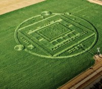 NVIDIA-crop-circle
