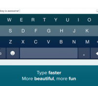 fleksy