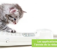 trianglevrh-triangle-veterinary-referral-hospital-tvrh-kitten-and-phone