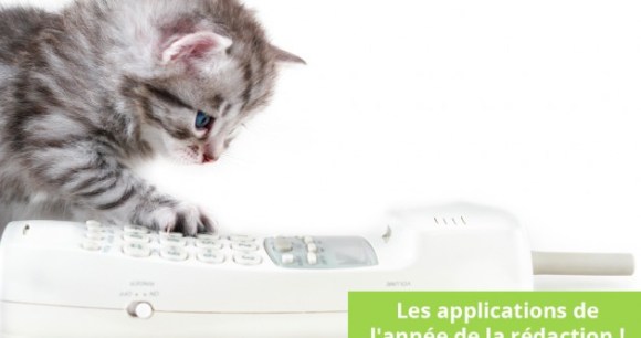 trianglevrh-triangle-veterinary-referral-hospital-tvrh-kitten-and-phone trianglevrh-triangle-veterinary-referral-hospital-tvrh-kitten-and-phone