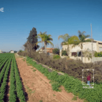 Percepto : le Tegra K1 fait son entrée dans le domaine des drones Percepto : le Tegra K1 fait son entrée dans le domaine des drones
