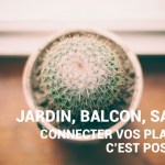 Jardin, salon, balcon : les objets connectés au service des plantes Jardin, salon, balcon : les objets connectés au service des plantes