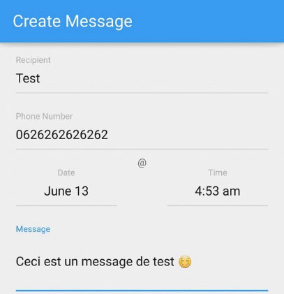 Programmer message