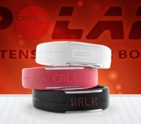 Loop 2 Polar