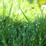 Et si votre jardin était connecté ? Et si votre jardin était connecté ?