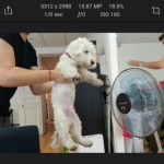 Polarr est un peut-être l’un des meilleurs éditeurs de photos sur Android Polarr est un peut-être l’un des meilleurs éditeurs de photos sur Android