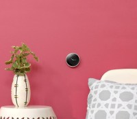 nest 2