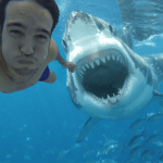 Les selfies ont été plus souvent mortels que les requins en 2015 Les selfies ont été plus souvent mortels que les requins en 2015