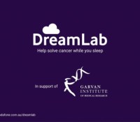 dreamlab-970-80
