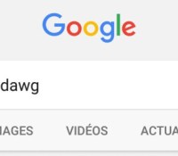 yo dawg google search