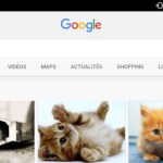 Google Images permet de sauvegarder plus facilement des images de chats mignons Google Images permet de sauvegarder plus facilement des images de chats mignons