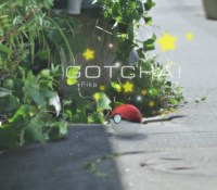 pokemon-go