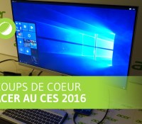 Acer Acer