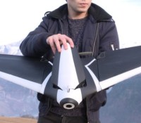 Parrot Disco