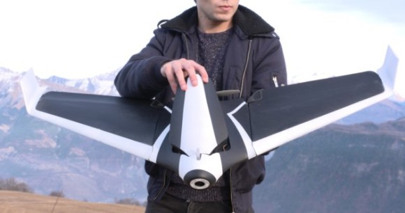 Parrot Disco Parrot Disco