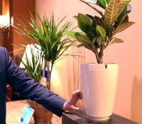parrot-pot-02