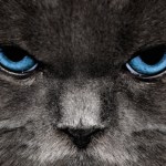 7 blagues de poisson d’avril à (ne pas) faire à vos amis sur Android 7 blagues de poisson d’avril à (ne pas) faire à vos amis sur Android