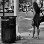 Marcher dans la rue avec son téléphone, c’est risqué Marcher dans la rue avec son téléphone, c’est risqué