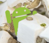 Image créée par la société Humanoid pour les sites FrAndroid & Numerama.
http://www.frandroid.com/a-propos/
